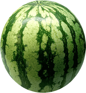 수박